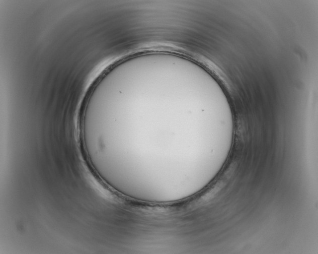 X0000112171082200908070954