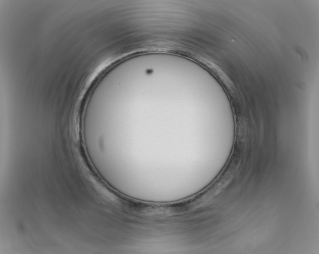 X0000112171083200908070954