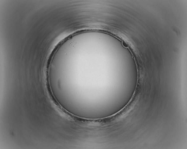 X0000112171085200908070954