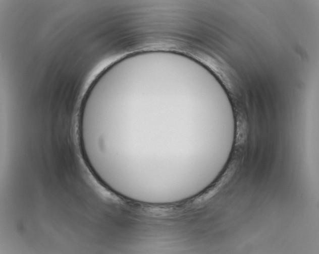 X0000112171086200908070954