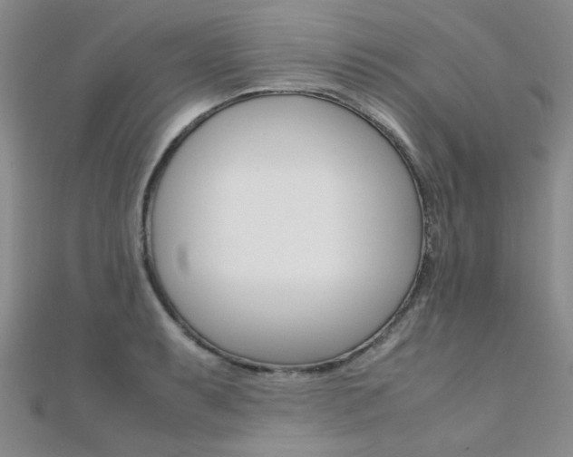 X0000112171087200908070954