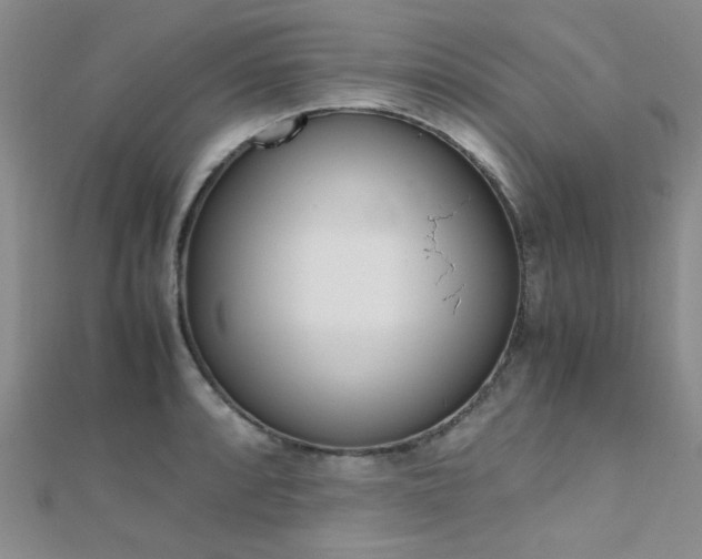 X0000112171088200908070954
