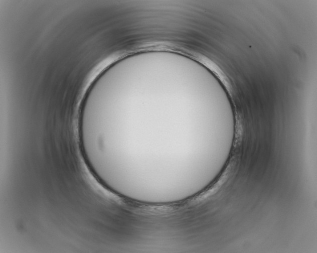 X0000112171090200908070954
