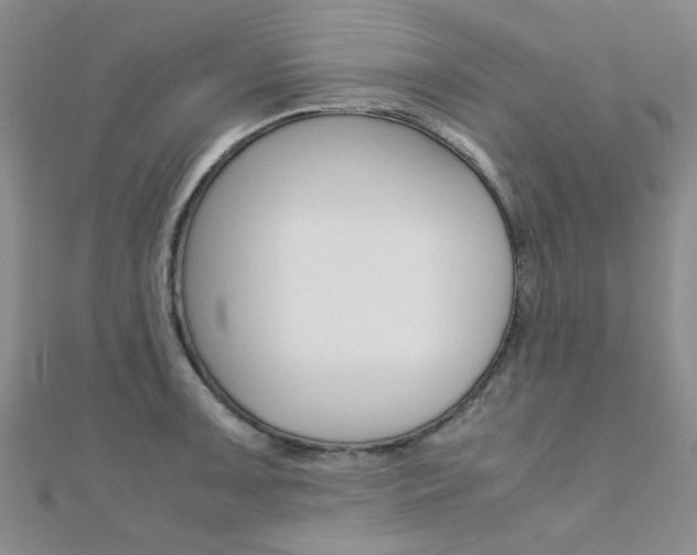 X0000112171091200908070954