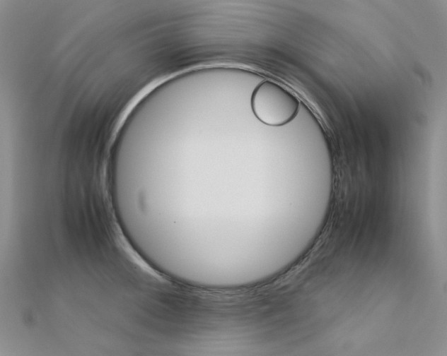 X0000112171092200908070954