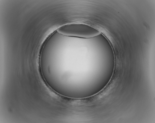 X0000112171093200908070954