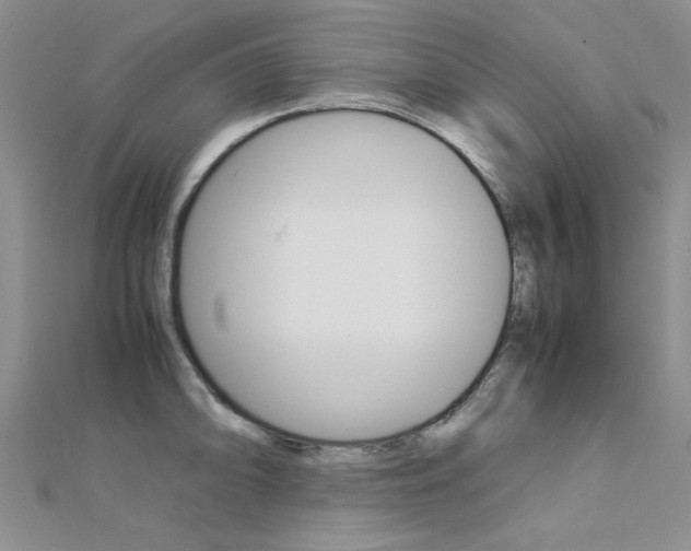 X0000112171094200908070954