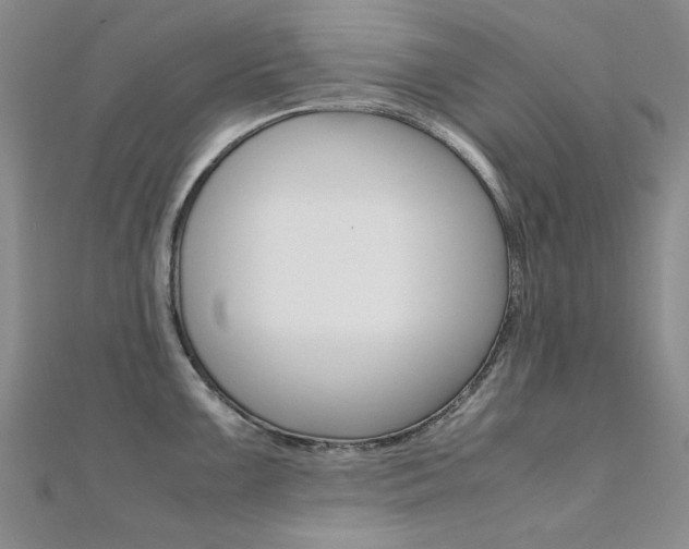 X0000112171099200908070954