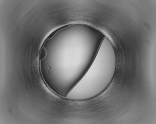 X0000112171100200908070954