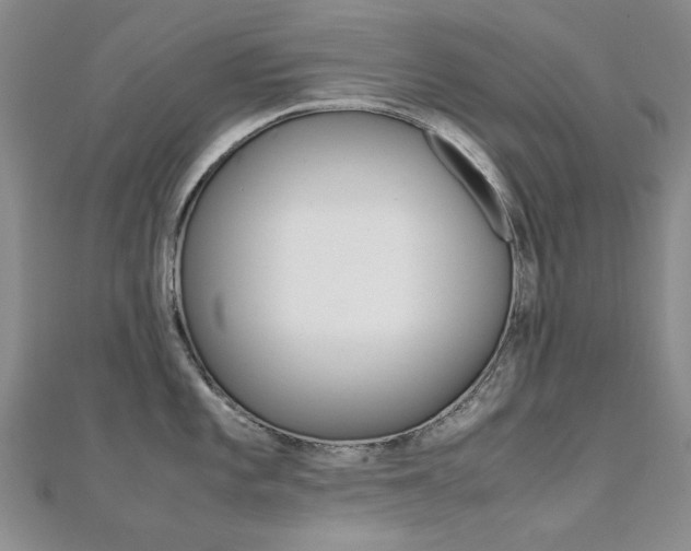 X0000112171101200908070954