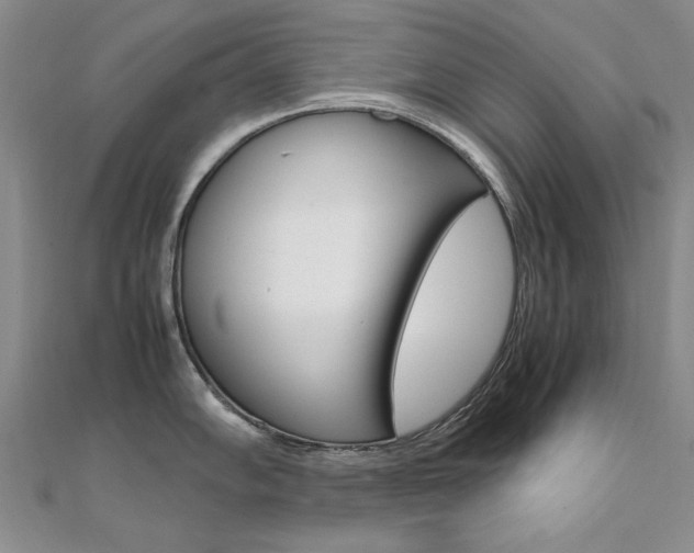 X0000112171102200908070954