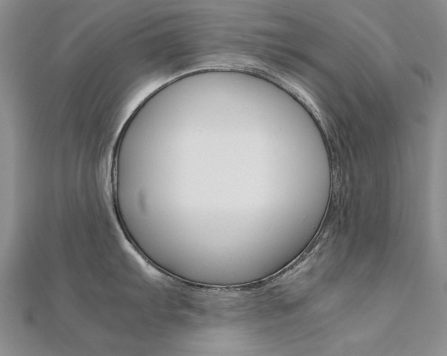 X0000112171103200908070954