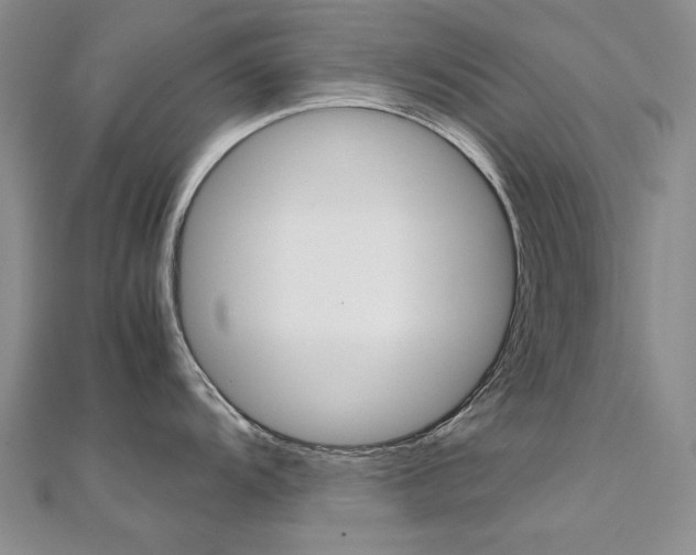 X0000112171104200908070954