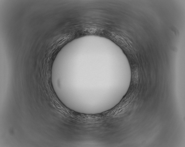 X0000112171105200908070954