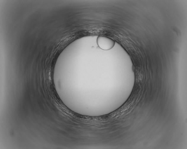 X0000112171106200908070954