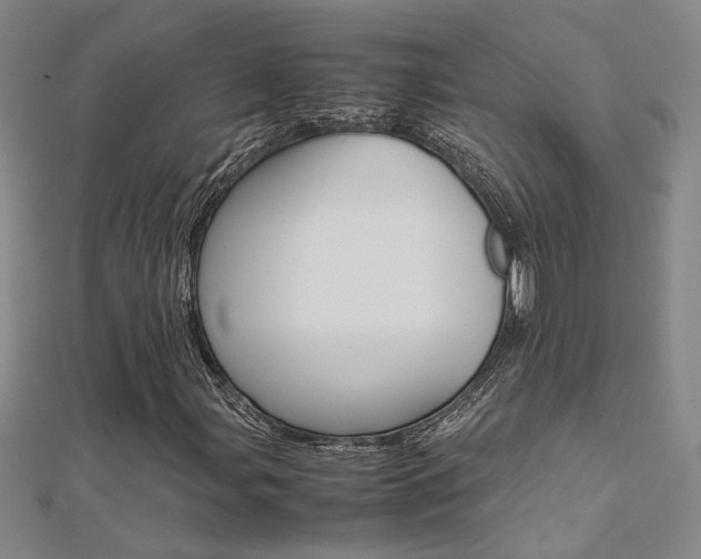 X0000112171107200908070954