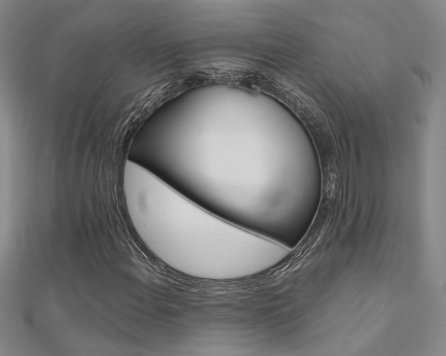 X0000112171108200908070954