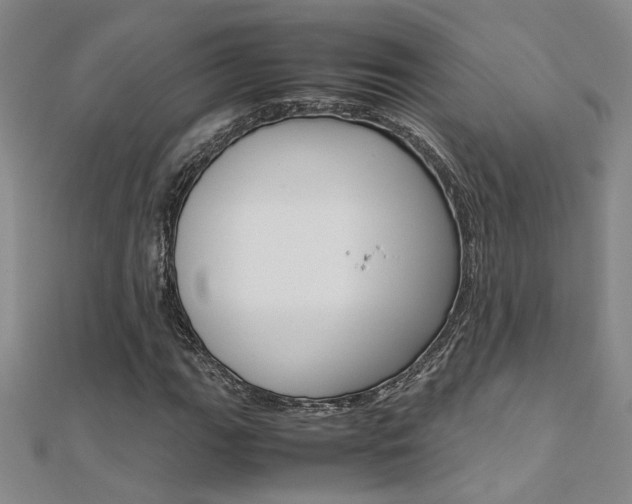 X0000112171111200908070954