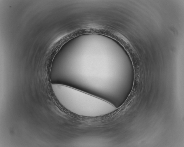 X0000112171112200908070954