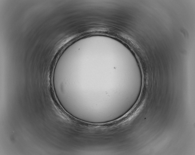 X0000112171113200908070954