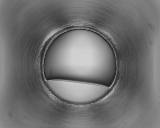 X0000112171114200908070954