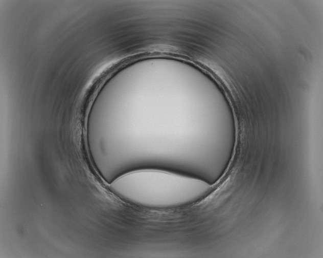 X0000112171115200908070954