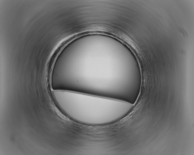 X0000112171116200908070954