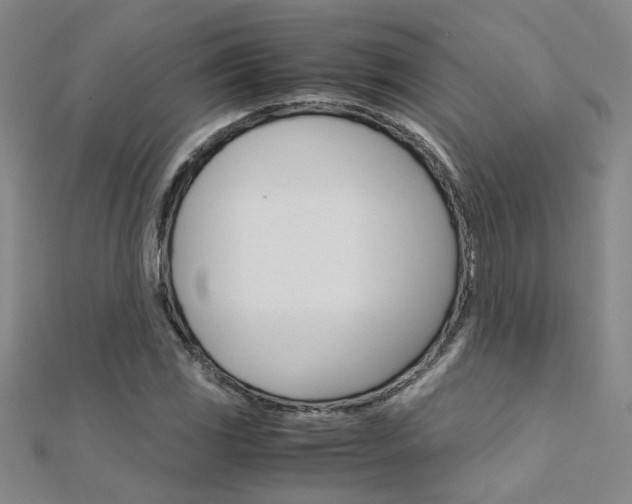 X0000112171117200908070954