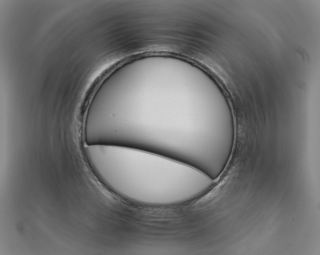 X0000112171119200908070954