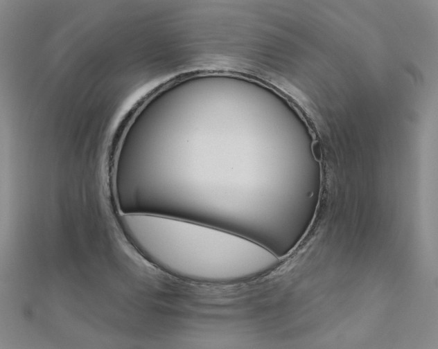 X0000112171120200908070954