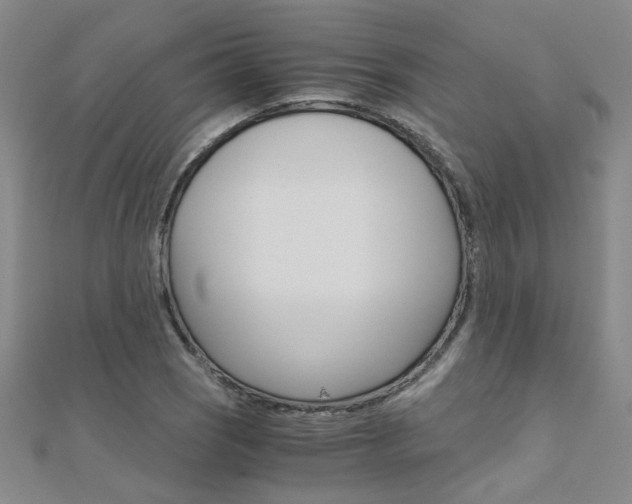 X0000112171121200908070954