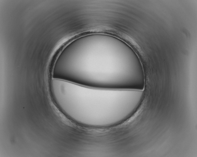 X0000112171122200908070954