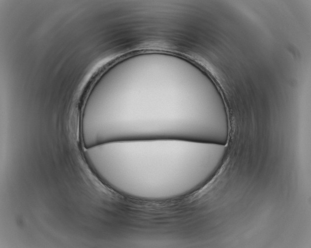 X0000112171123200908070954