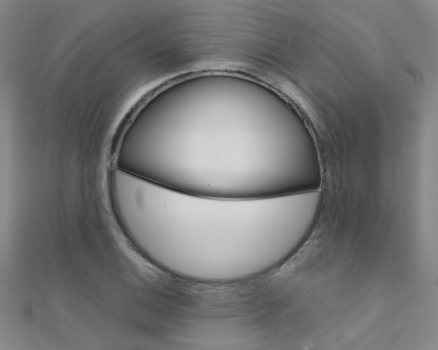 X0000112171124200908070954