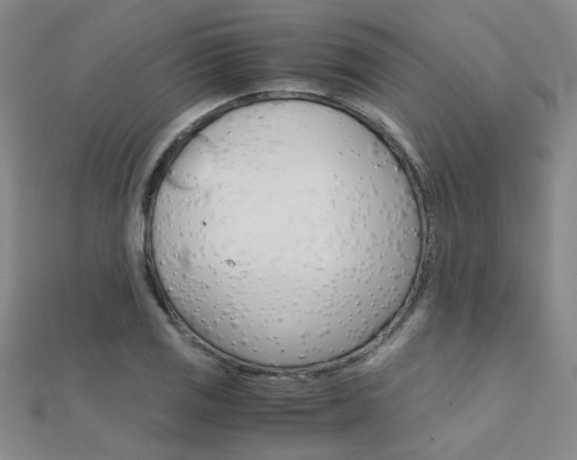 X0000112171125200908070954