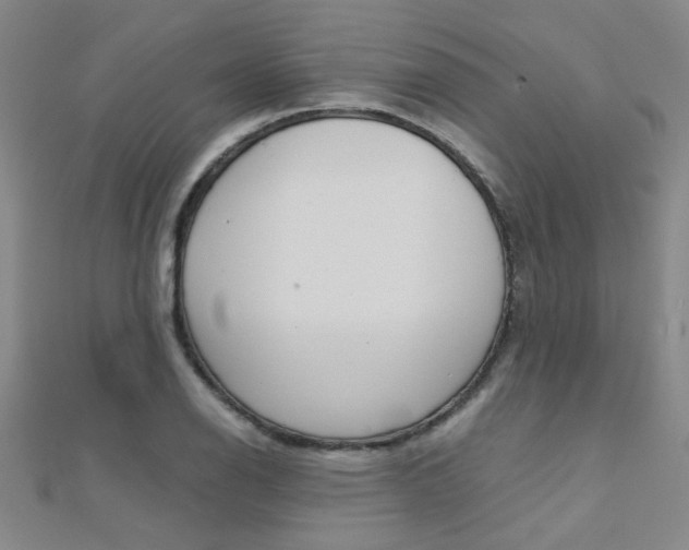 X0000112171126200908070954