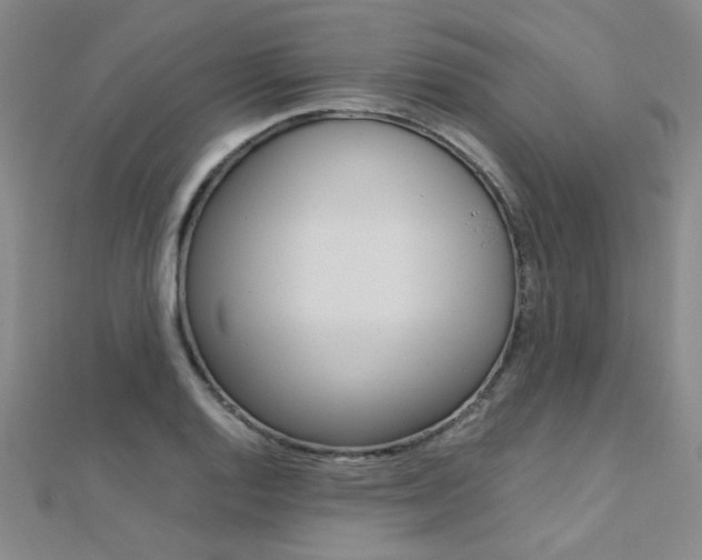 X0000112171128200908070954