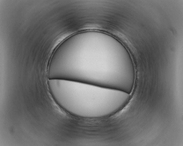 X0000112171129200908070954