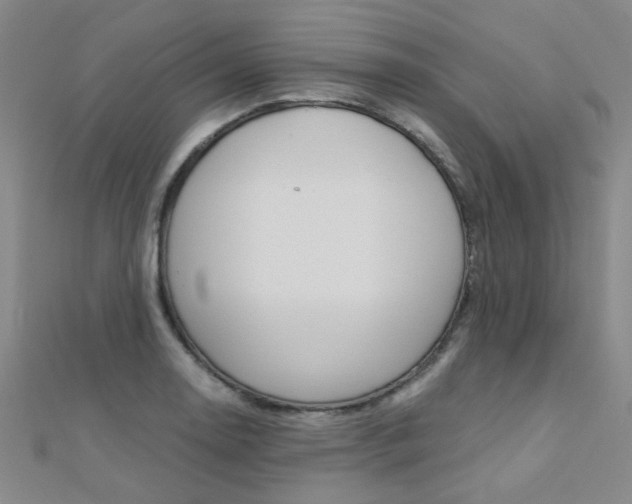 X0000112171130200908070954