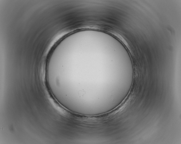 X0000112171131200908070954