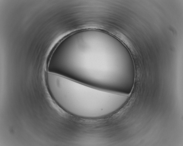 X0000112171132200908070954