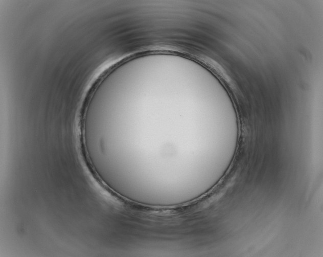 X0000112171133200908070954
