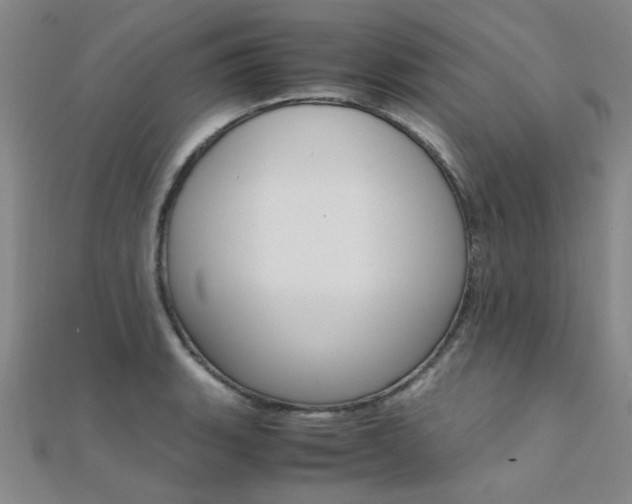 X0000112171135200908070954