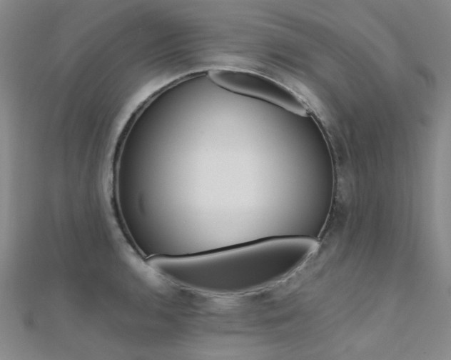 X0000112171136200908070954