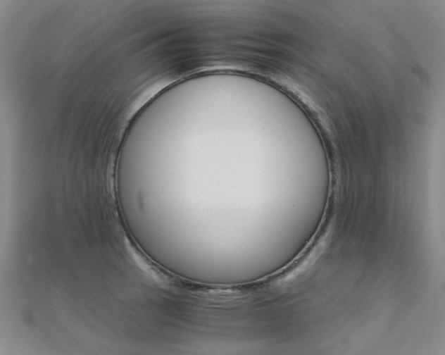 X0000112171137200908070954
