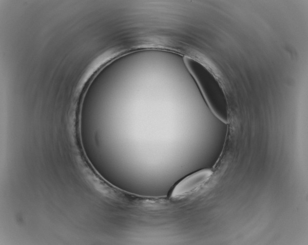 X0000112171138200908070954