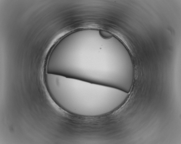 X0000112171139200908070954