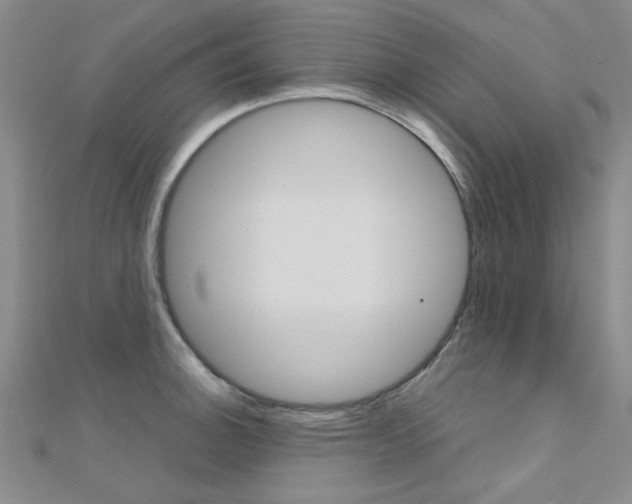 X0000112171140200908070954