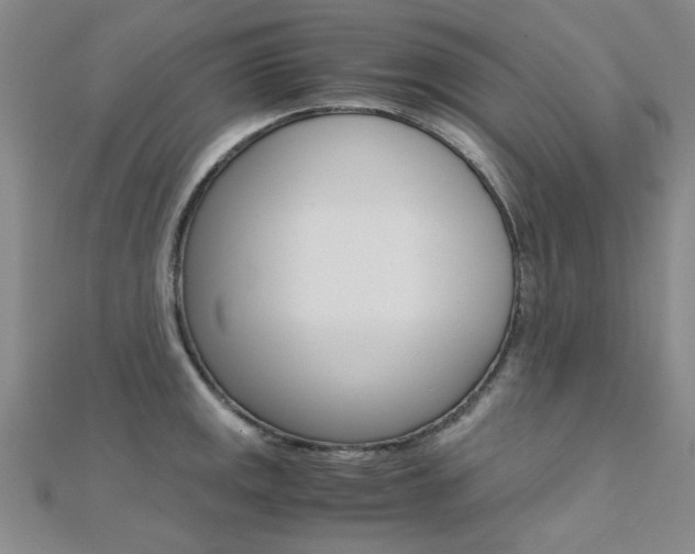 X0000112171141200908070954