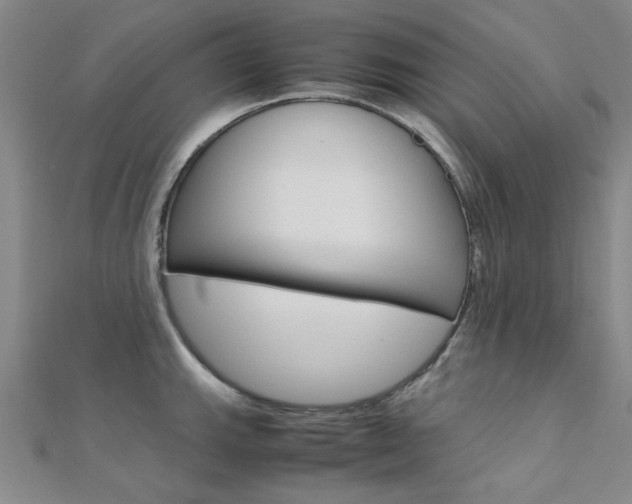 X0000112171143200908070954